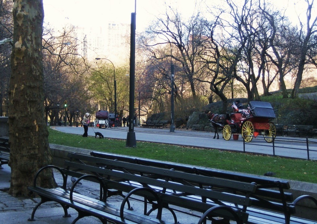e0196912_529584.jpg