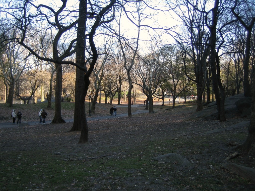 e0196912_5381326.jpg