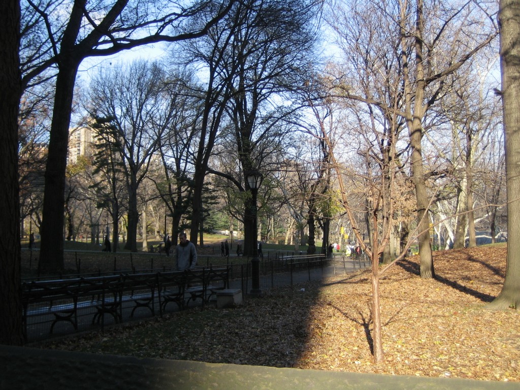 e0196912_541164.jpg