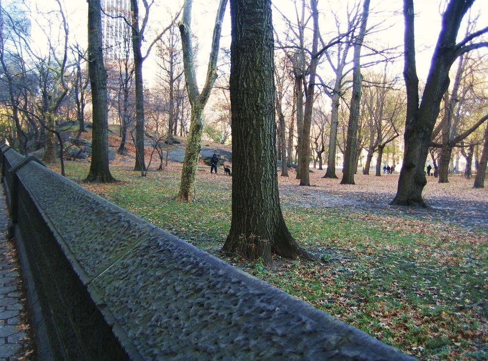 e0196912_543760.jpg