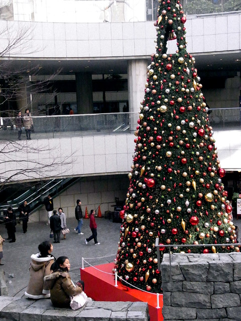 e0083517_1011676.jpg