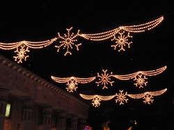 c0151122_1610113.jpg