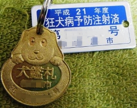 e0024126_219077.jpg