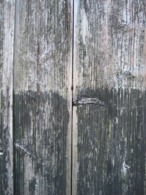 d0147727_22333974.jpg