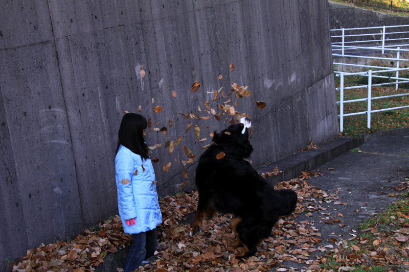 a0151129_04978.jpg