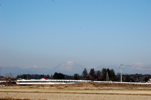 c0192930_1037342.jpg