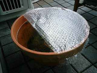 d0048332_11433137.gif