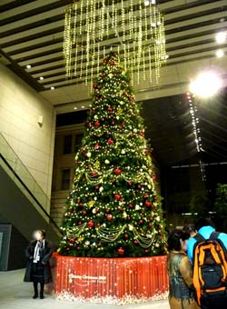 b0035734_16414365.jpg
