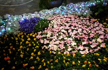 b0035734_16424739.jpg
