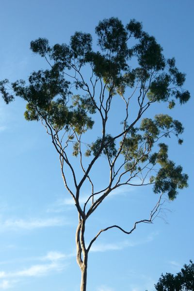 b0164834_4211555.jpg