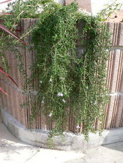 f0061334_21404275.jpg