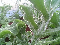 e0196135_21222582.jpg