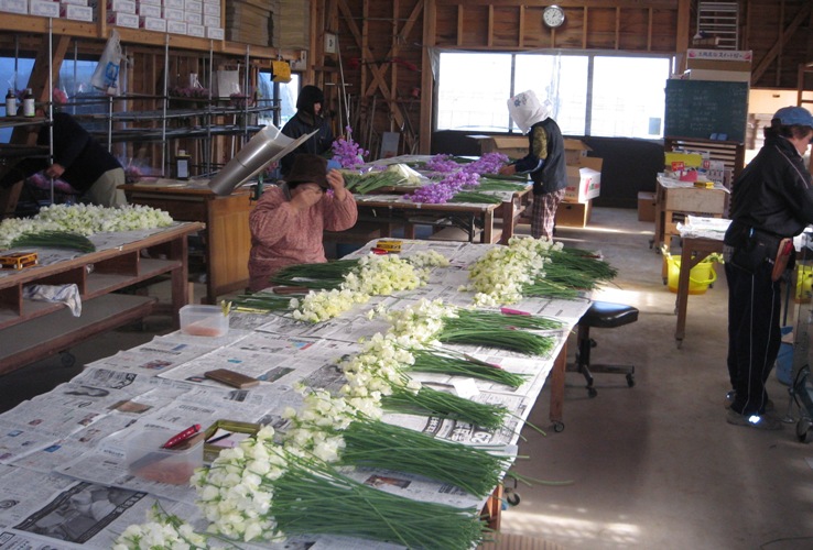 f0042737_1148232.jpg