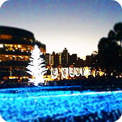 c0012043_024288.jpg