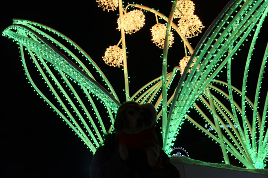 a0042044_23403172.jpg