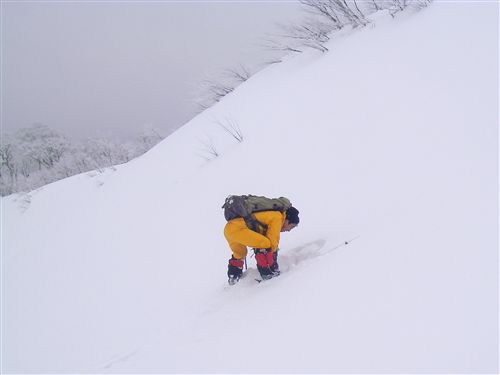 c0081645_231639100.jpg