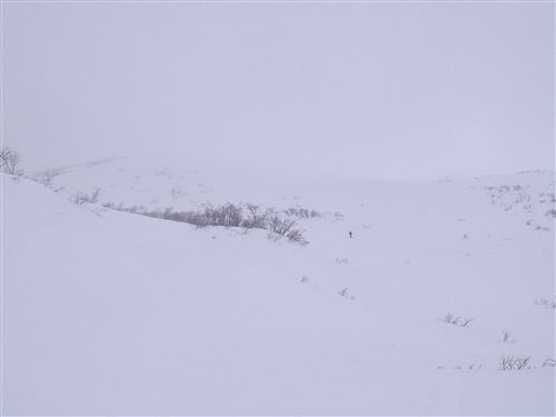 c0081645_23174554.jpg