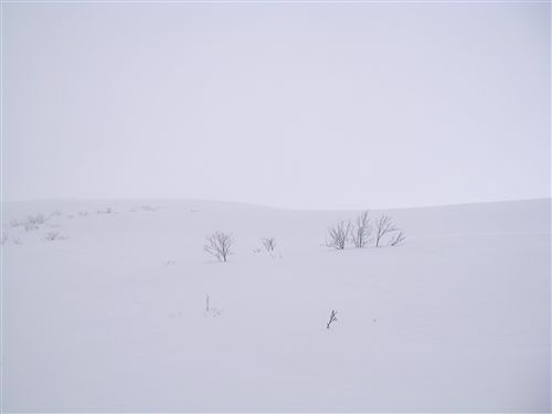 c0081645_232252.jpg