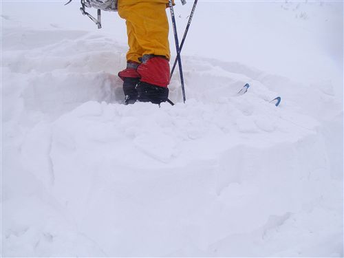 c0081645_23275529.jpg