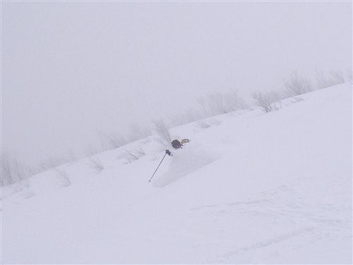 c0081645_2329219.jpg