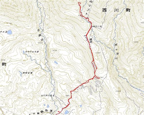 c0081645_23461242.jpg