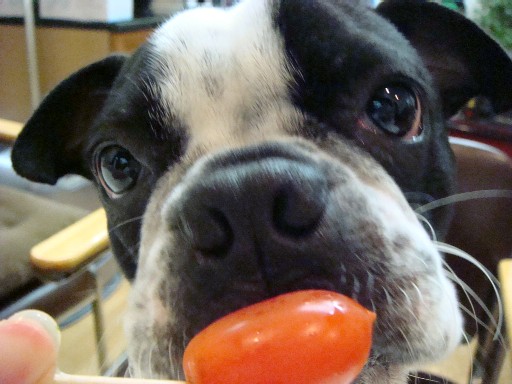 b0183452_20123619.jpg