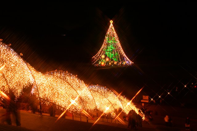f0171559_2353798.jpg