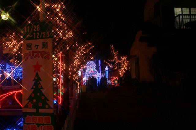 f0171559_23582281.jpg