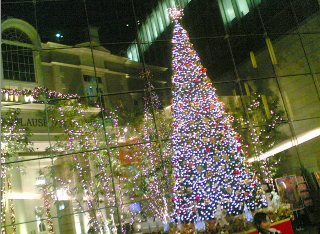 c0031467_054354.jpg