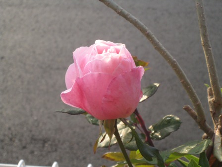f0088569_20105055.jpg