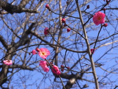 c0112172_2129116.jpg