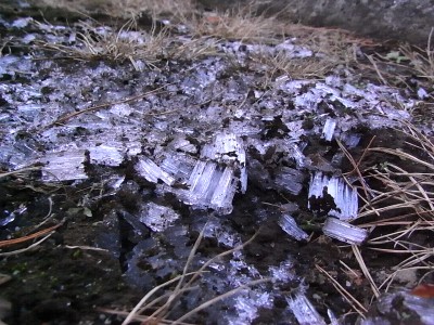 c0112172_21295290.jpg