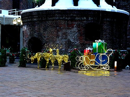 d0084473_21325915.jpg