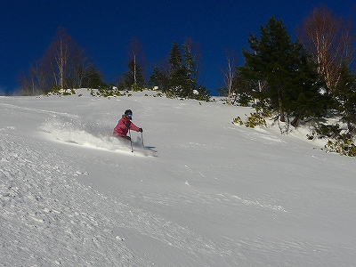 f0182173_11344182.jpg