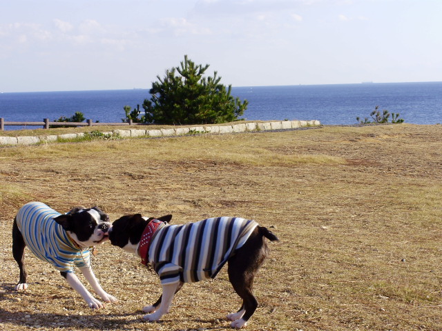 c0179376_084996.jpg