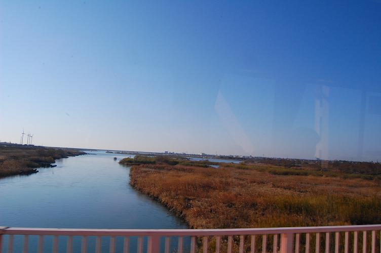 b0059978_22195757.jpg