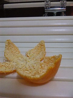 c0046979_22122738.jpg