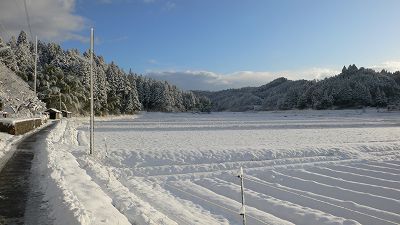b0042882_23334290.jpg