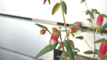 f0166982_23262972.jpg
