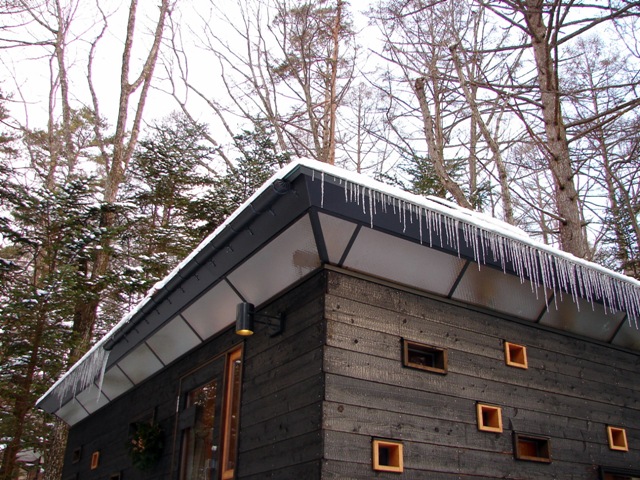 b0011185_1251214.jpg