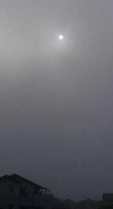 c0155185_21314999.jpg