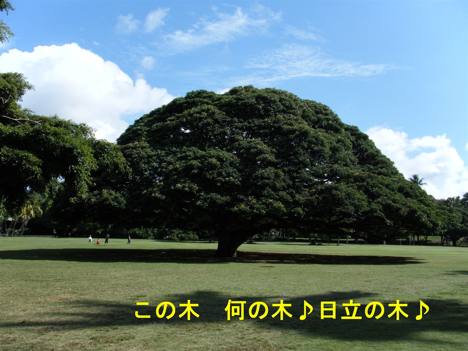 e0121589_0412671.jpg
