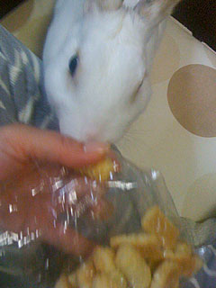 f0201191_23131687.jpg