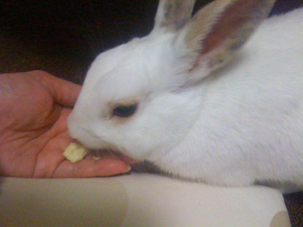 f0201191_23141019.jpg