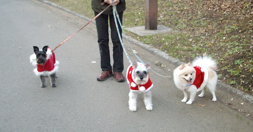 c0138198_17263136.jpg
