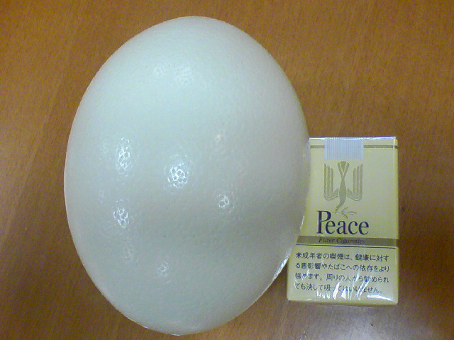 f0197703_17411987.jpg