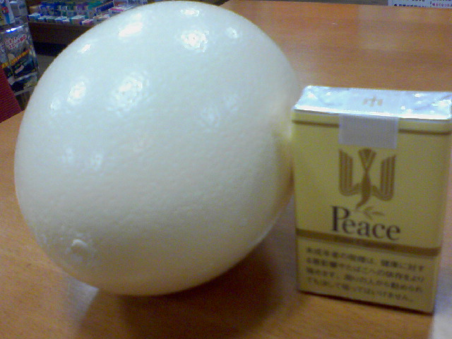 f0197703_17414194.jpg