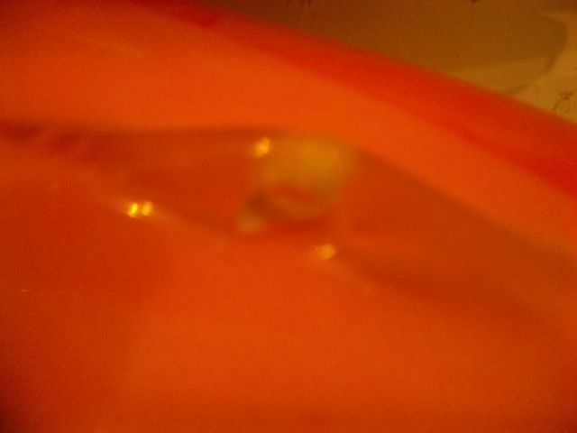 f0116314_17542630.jpg