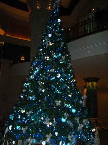 e0047322_1545736.jpg