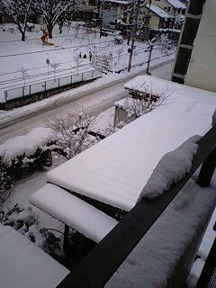 c0135226_3165736.jpg